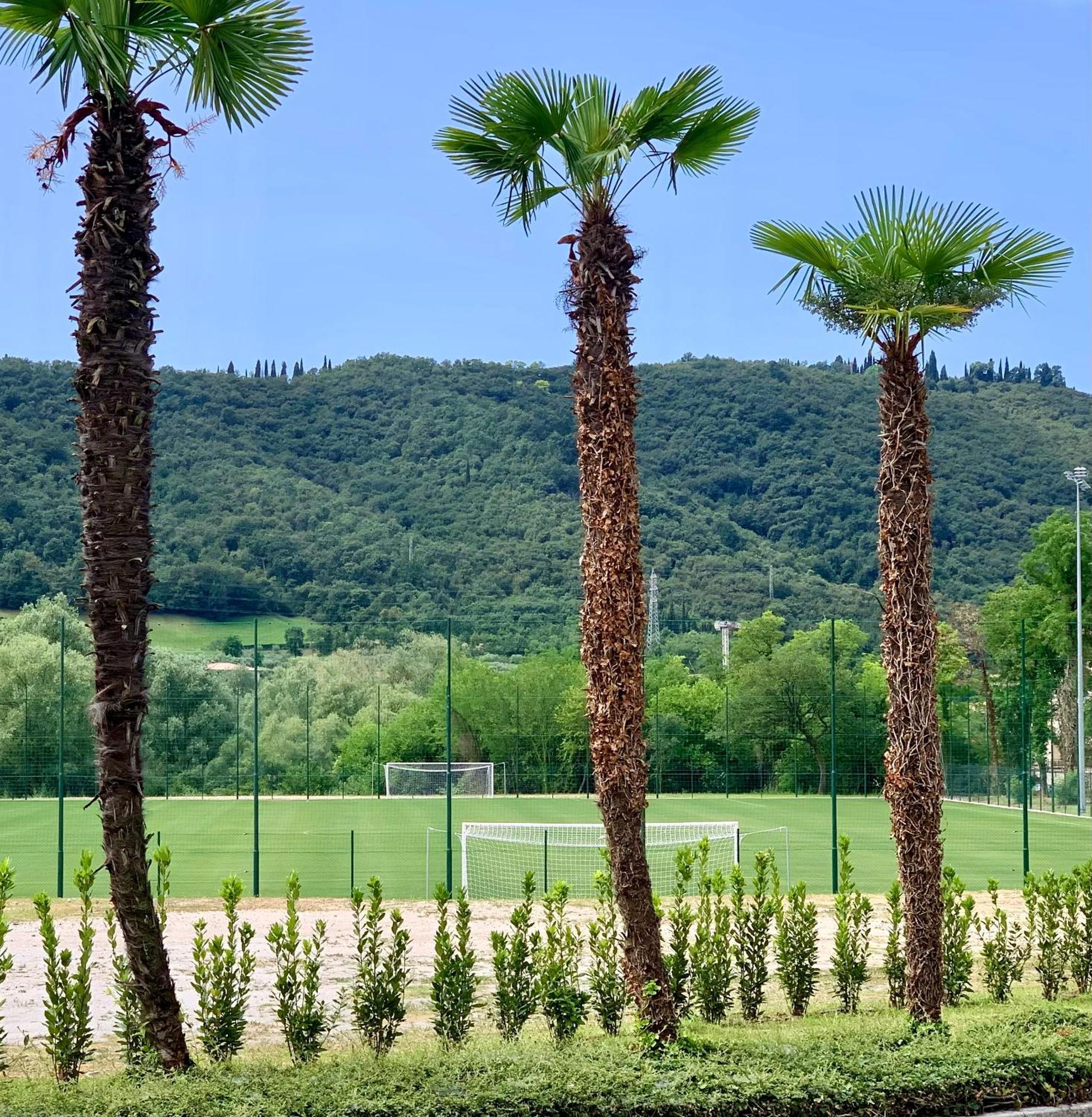 Poiano Garda Resort Appartamenti Esterno foto